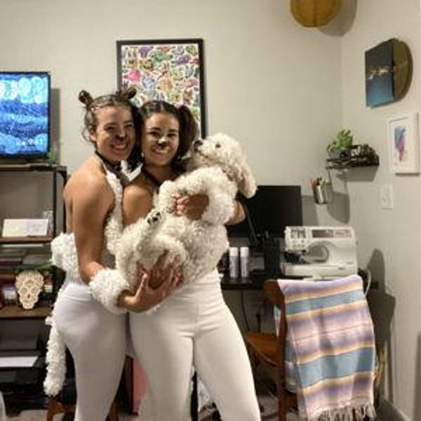Pet Sitting For Our Honeymoon