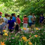 Seasonal Activities