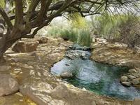 Riparian Preserve at Water Ranch