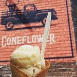 Coneflower Creamery - Blackstone District
