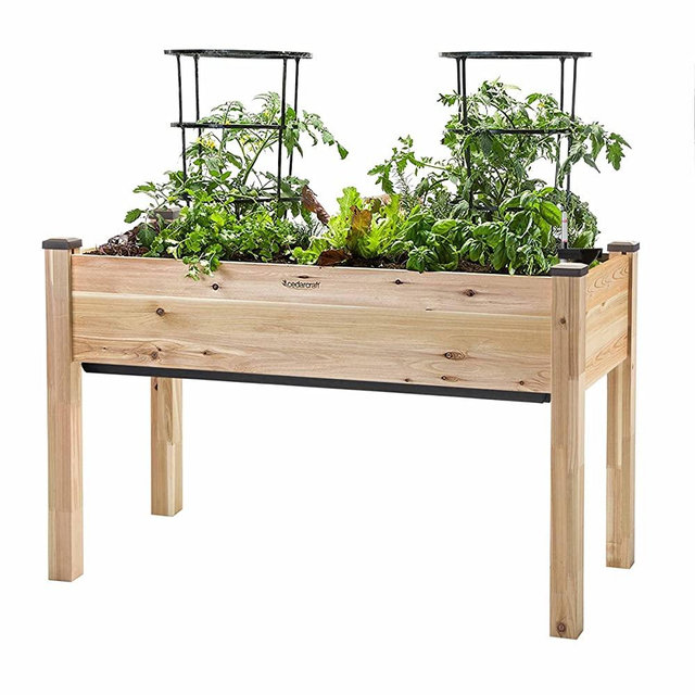 CedarCraft Self-Watering Elevated Cedar Planter (22” x 48” x 30" H) - Flexibility of Container Gardening Convenience of Self-Watering. Grow Healthier, More Productive Plants. No Tools Required