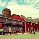 County Line Orchard