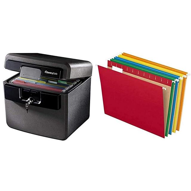 SentrySafe HD4100 Fireproof Safe and Waterproof Safe with Key Lock 0.65 Cubic Feet & Pendaflex Hanging File Folders, Letter Size, Assorted Colors, 1/5-Cut Adjustable Tabs, 25 Per Box (81663)