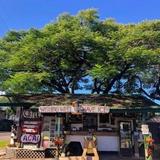 Wishing Well Shave Ice