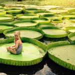 Kanapaha Botanical Gardens