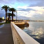 Bayshore Boulevard