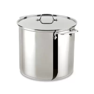 All-Clad® Stainless Steel 16 qt. Covered Stock Pot