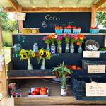 Gather picnic supplies from a local farm stand