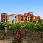 Ponte Winery