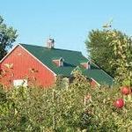 Maiden Rock Apples Winery & Cidery
