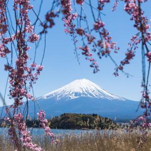 Hotel in Fujikawaguchiko, Japan!
