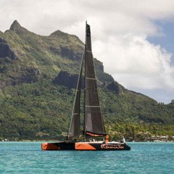 Catamaran Boat Tour