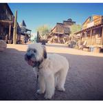 Goldfield Ghost Town