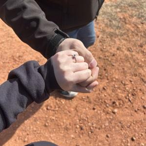 Our wedding fund
