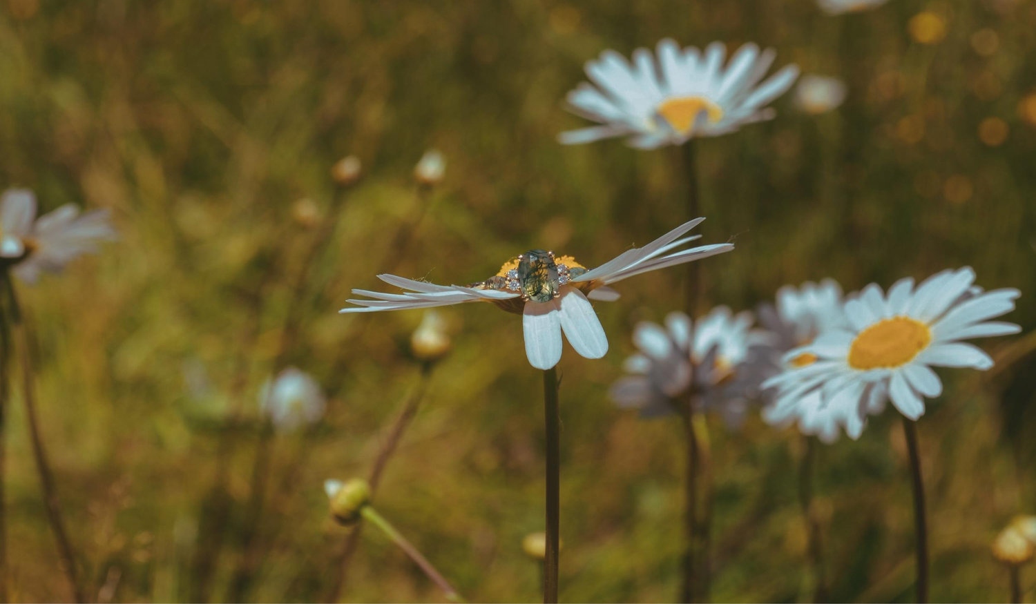 Footer image