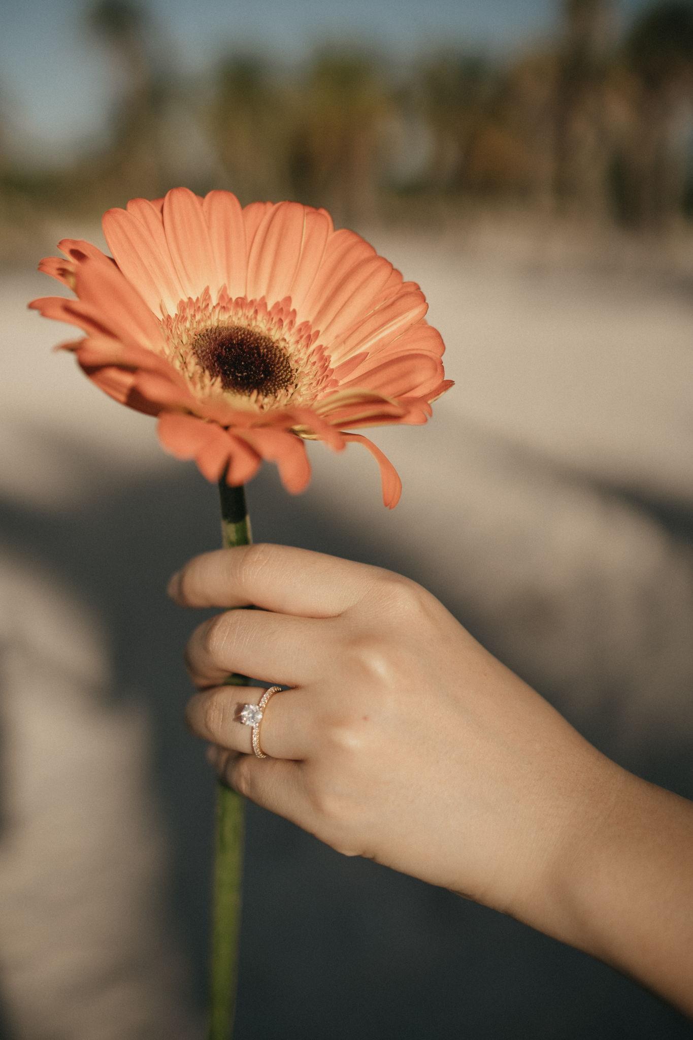 5f1e4f66-b5e9-4659-8a1d-1e5f8a6daab5