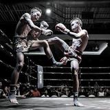 Muay Thai Kampf in der Arena schauen