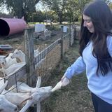 Goodale Farms