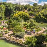 Japanese Tea Garden