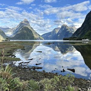 Milford Sound Cruise