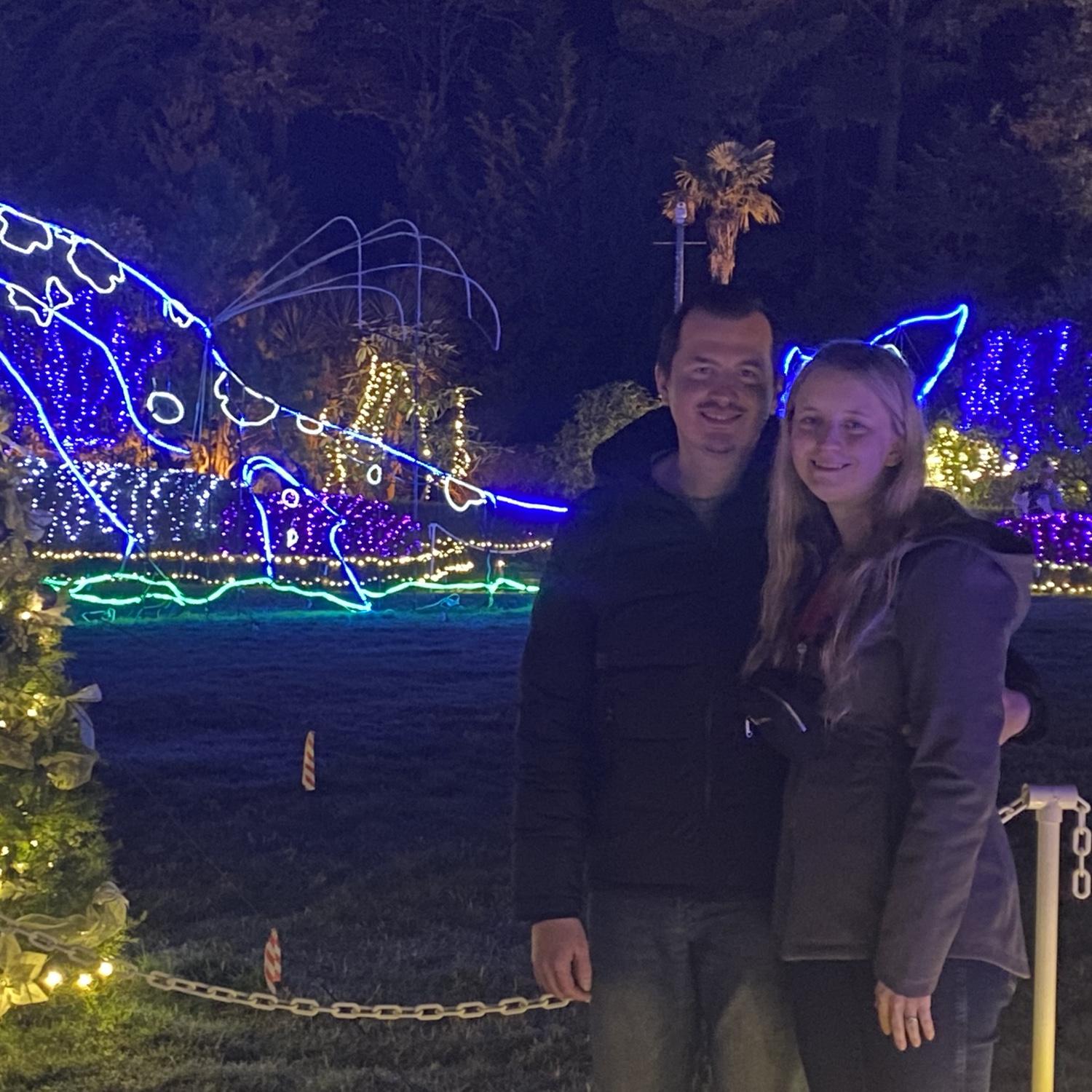Shore Acres lights