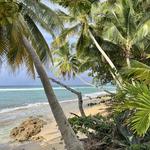 Rincón