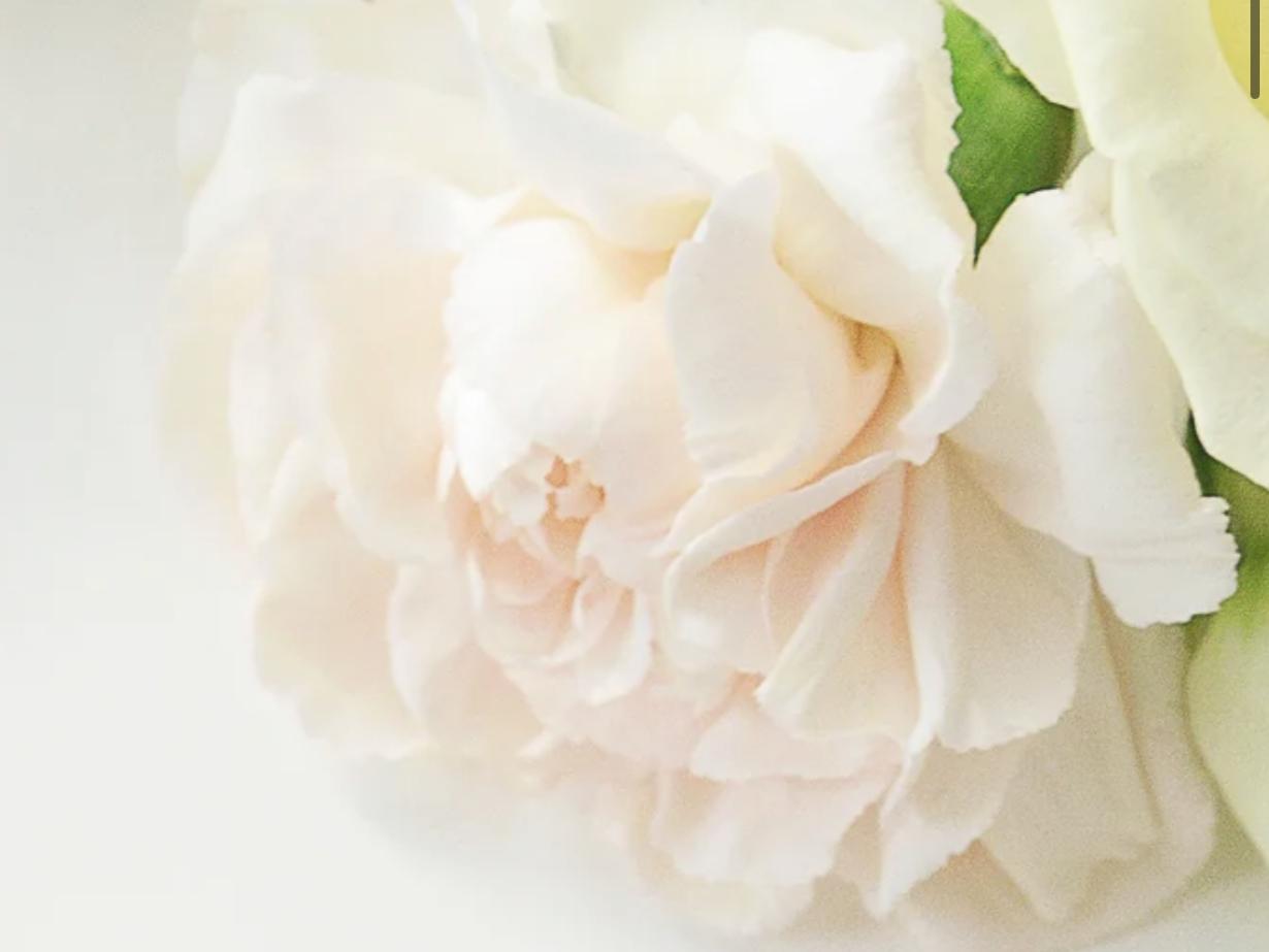 The Wedding Website of Vanessa Bikhazi and Andres Contreras Heredia