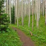 Lily Pad Lake Trail Head