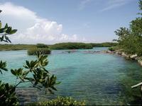 Bike tours to the Yal-ku Lagoon