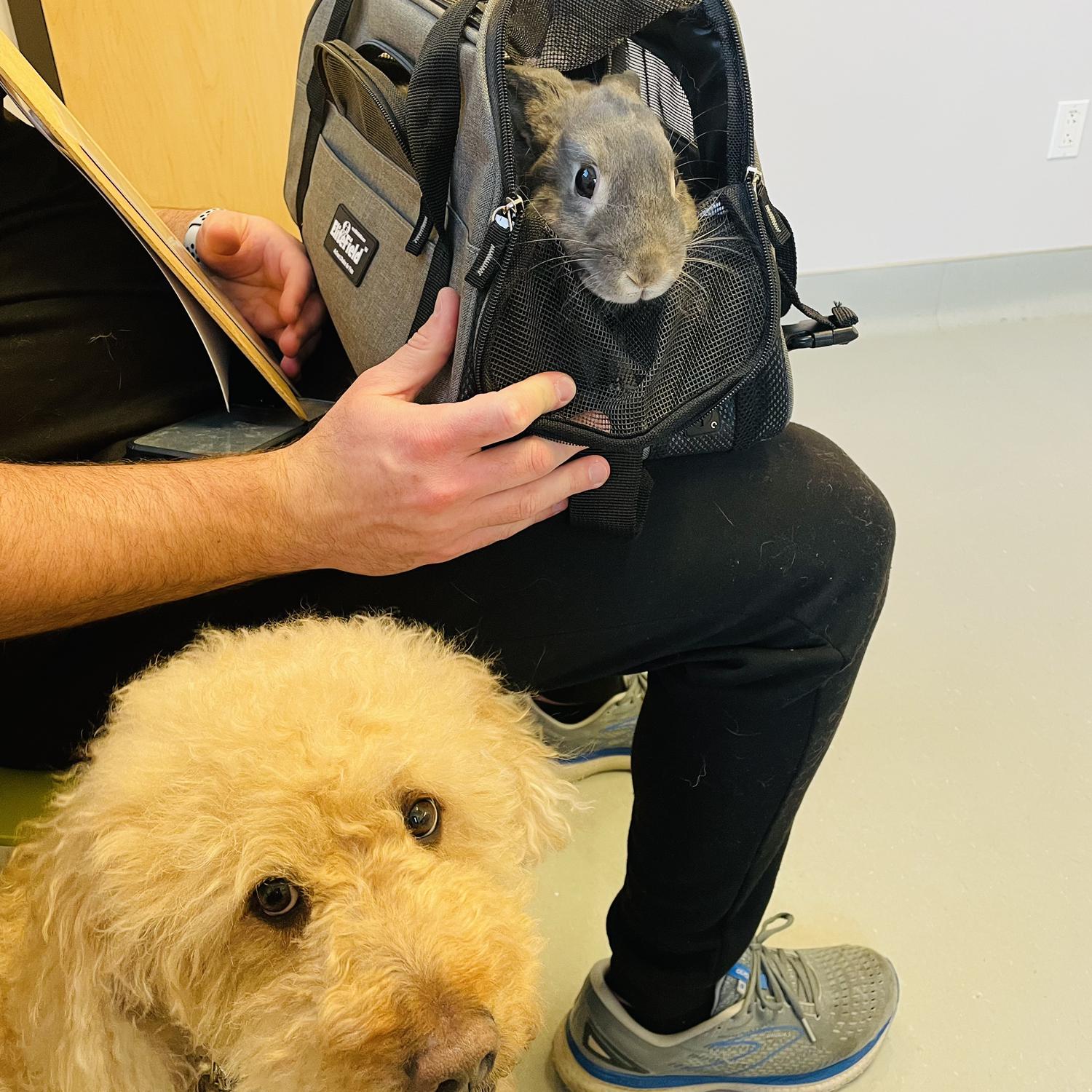 Our hijos at the vet