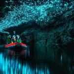 Waitomo Caves