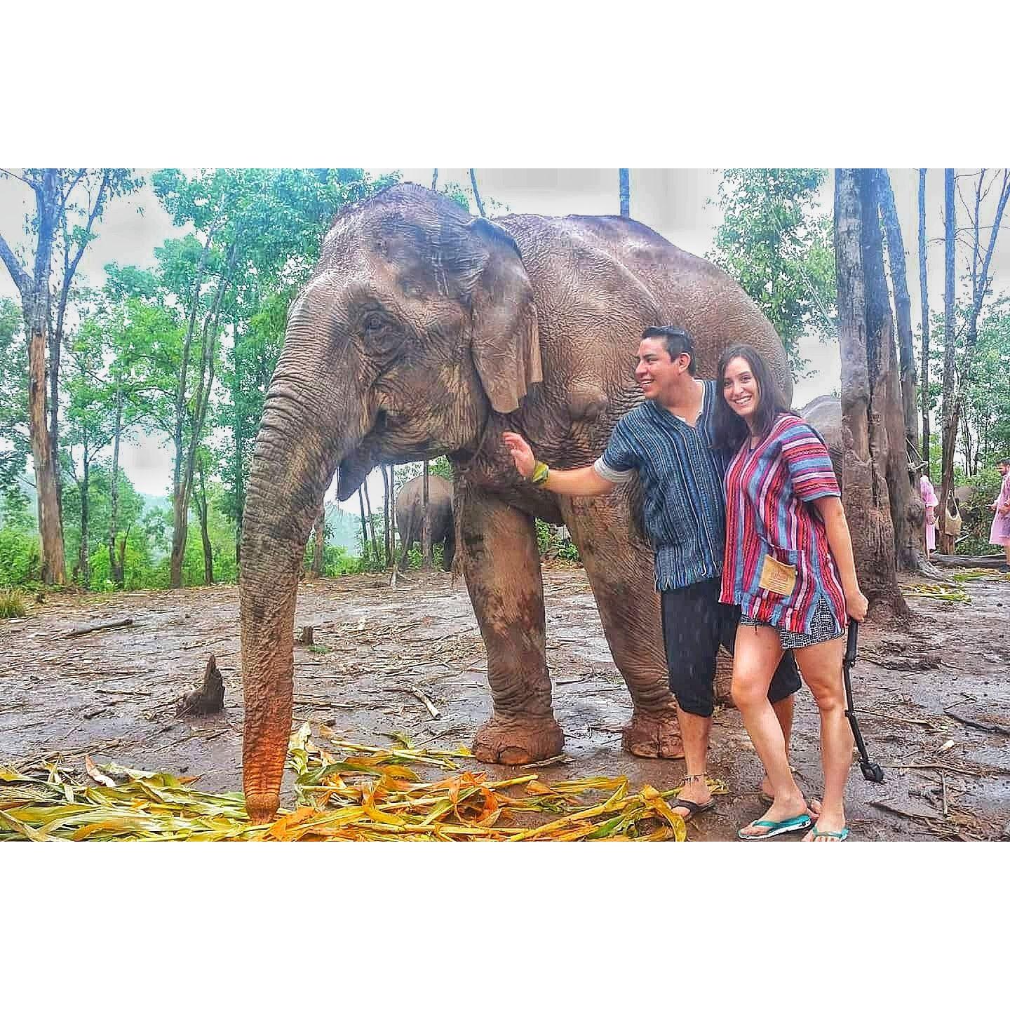 Playing with elephants in Thailand.