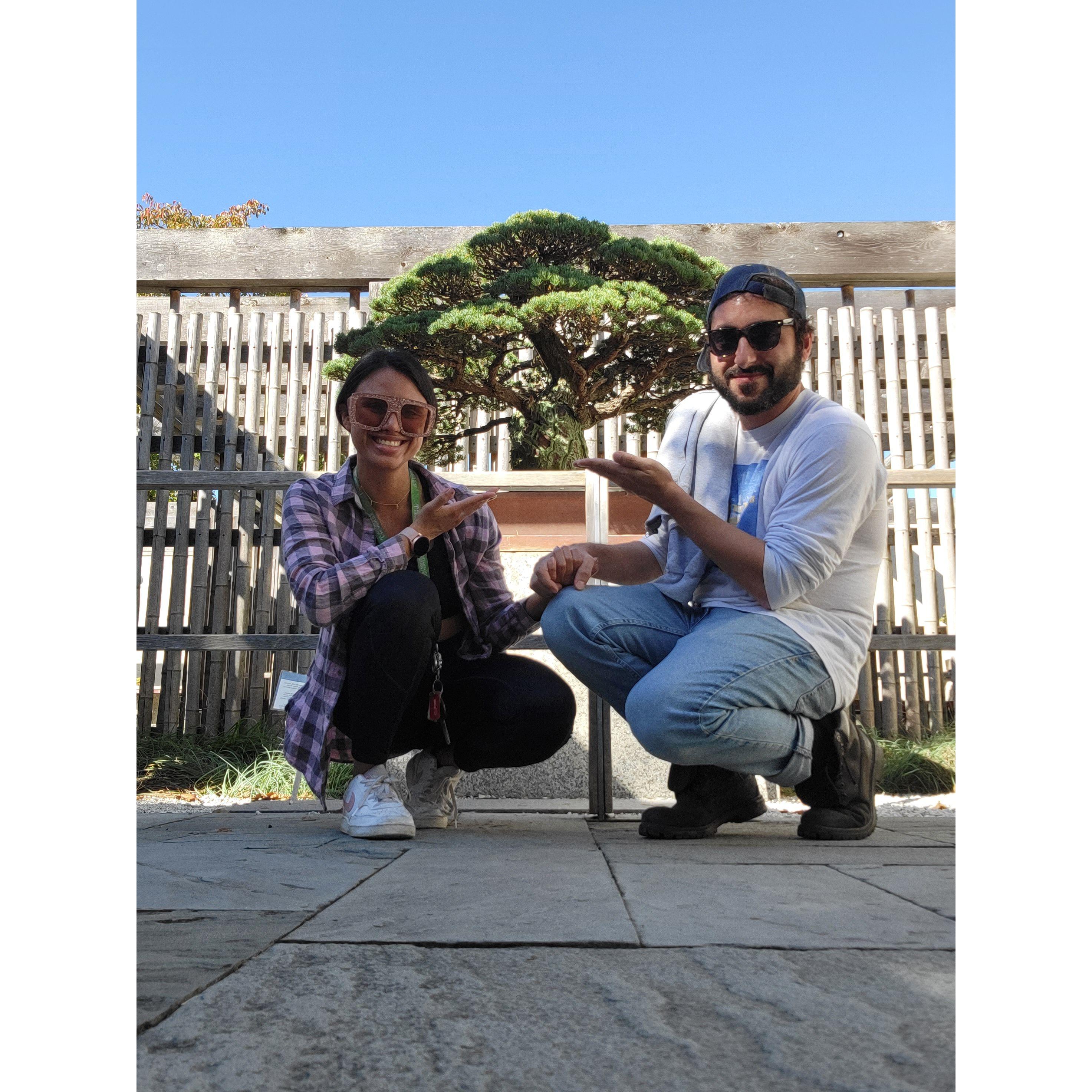 William took Vanessa to his most peaceful place in DC — the National Bonzai Museum. Vanessa loved the centuries-old trees so much that she had to touch each one to feel its wisdom and experience.