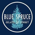 Blue Spruce