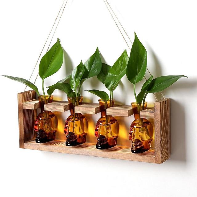 Plant Propagation Stations Halloween Skull Plant Terrarium Kit Glass Vases Gift for Father Air Planter Home Office Decor