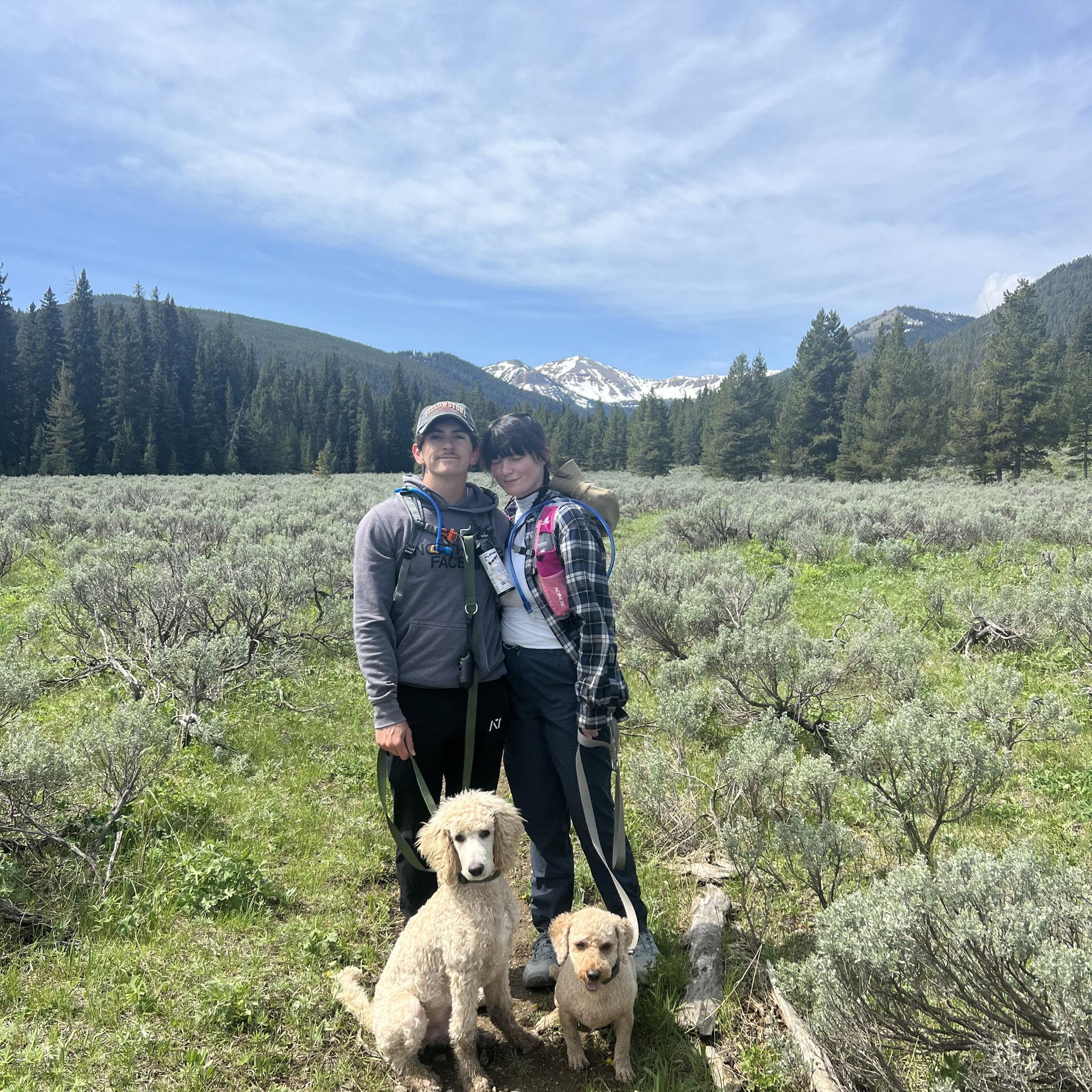 Yellowstone with Linus and Ollie, 2025