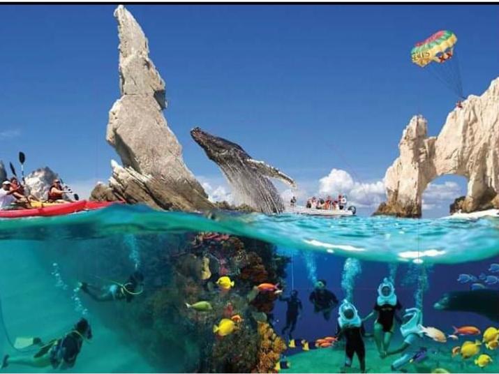 The Wedding Website of Carly Summerville and Boone Aguilera