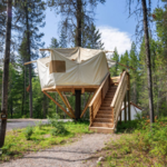 Glamping