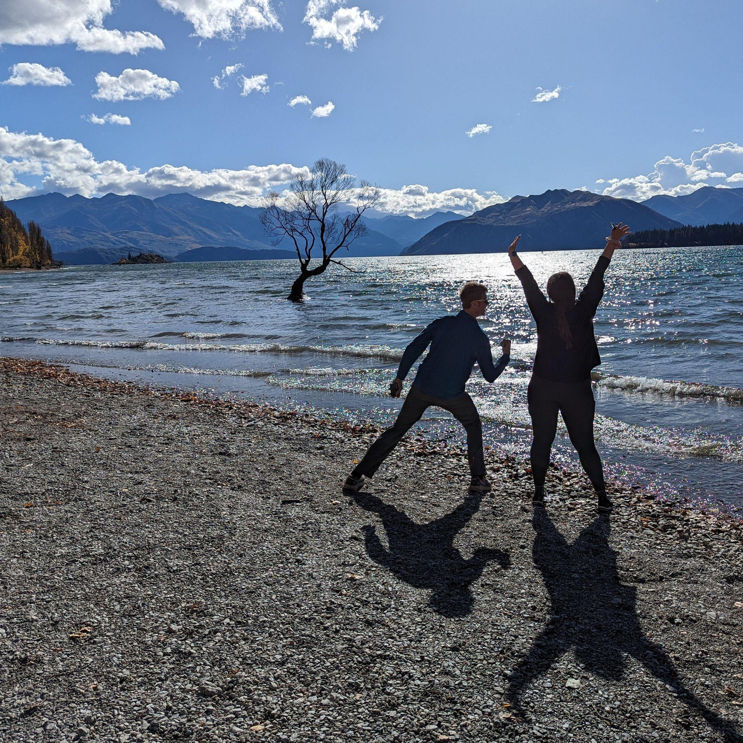 Wanaka, NZ. We made it to see the famous tree!