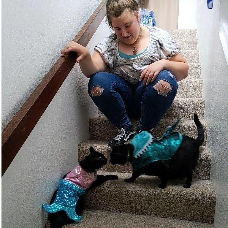 Jessica having fun dressing up our cat's, Simba (dinosaur) and Pip (mermaid).