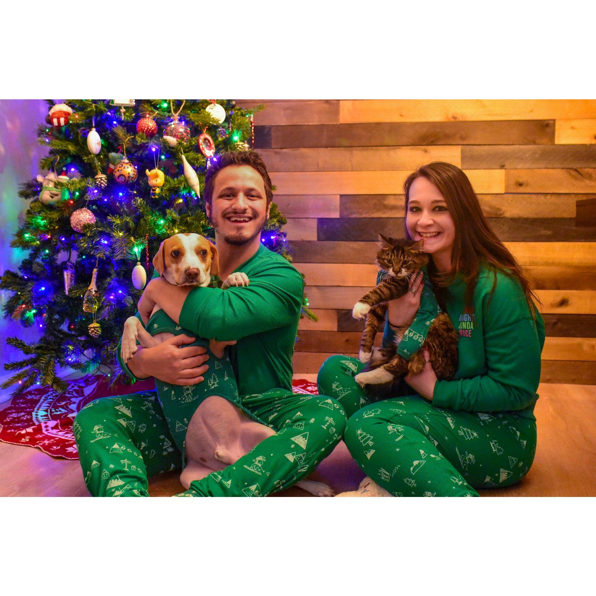 Our first Christmas in our condo, 2023