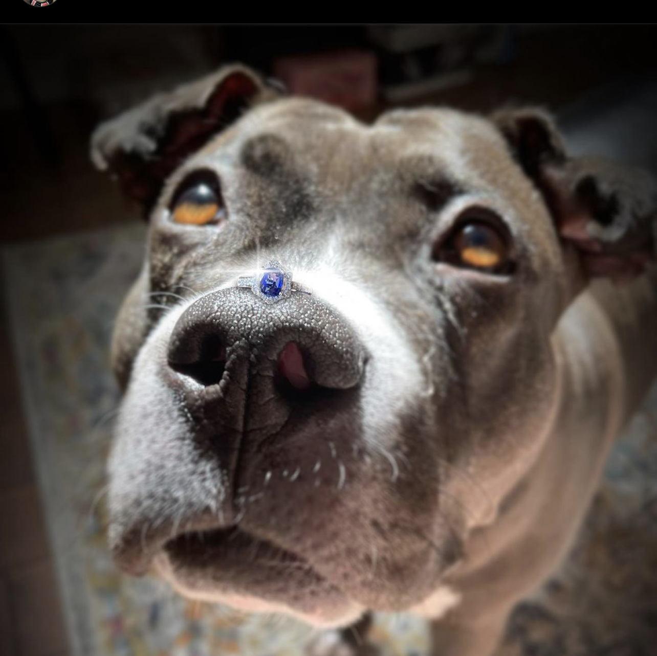 the post that Nic made to propose to Mikayla