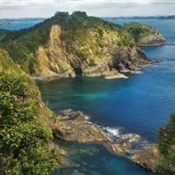 Honeymoon fund: New Zealand!