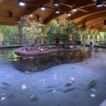 Gumbo Limbo Nature Center