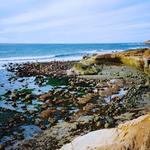 Point Loma Tide Pools