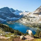 Glacier National Park
