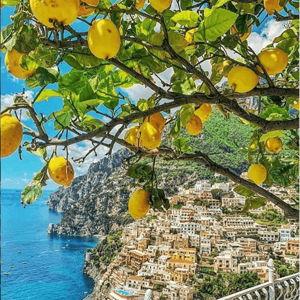 Amalfi Limoncello Class