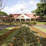 Dole Plantation