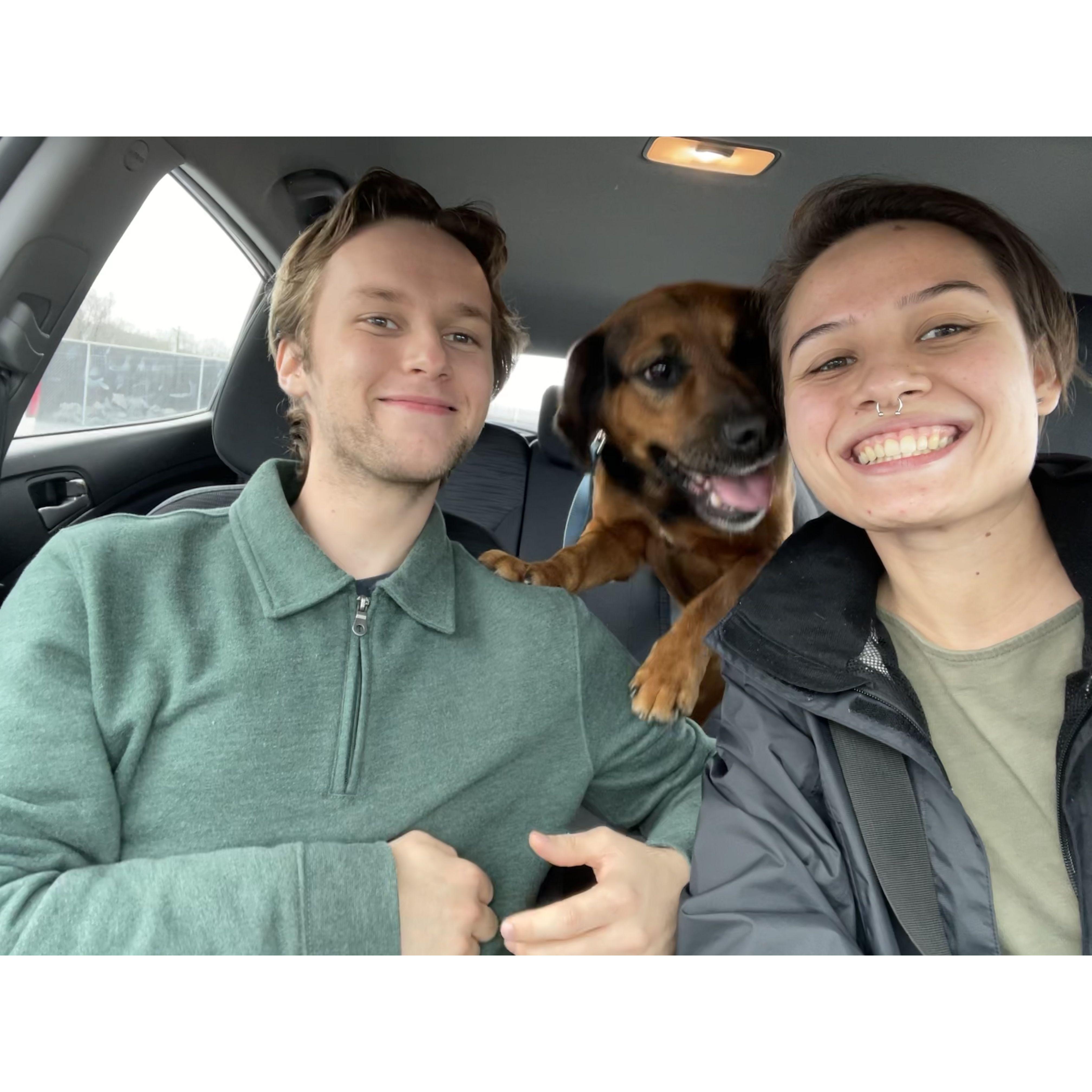 Fred's gotcha day, New Year’s Day 2021