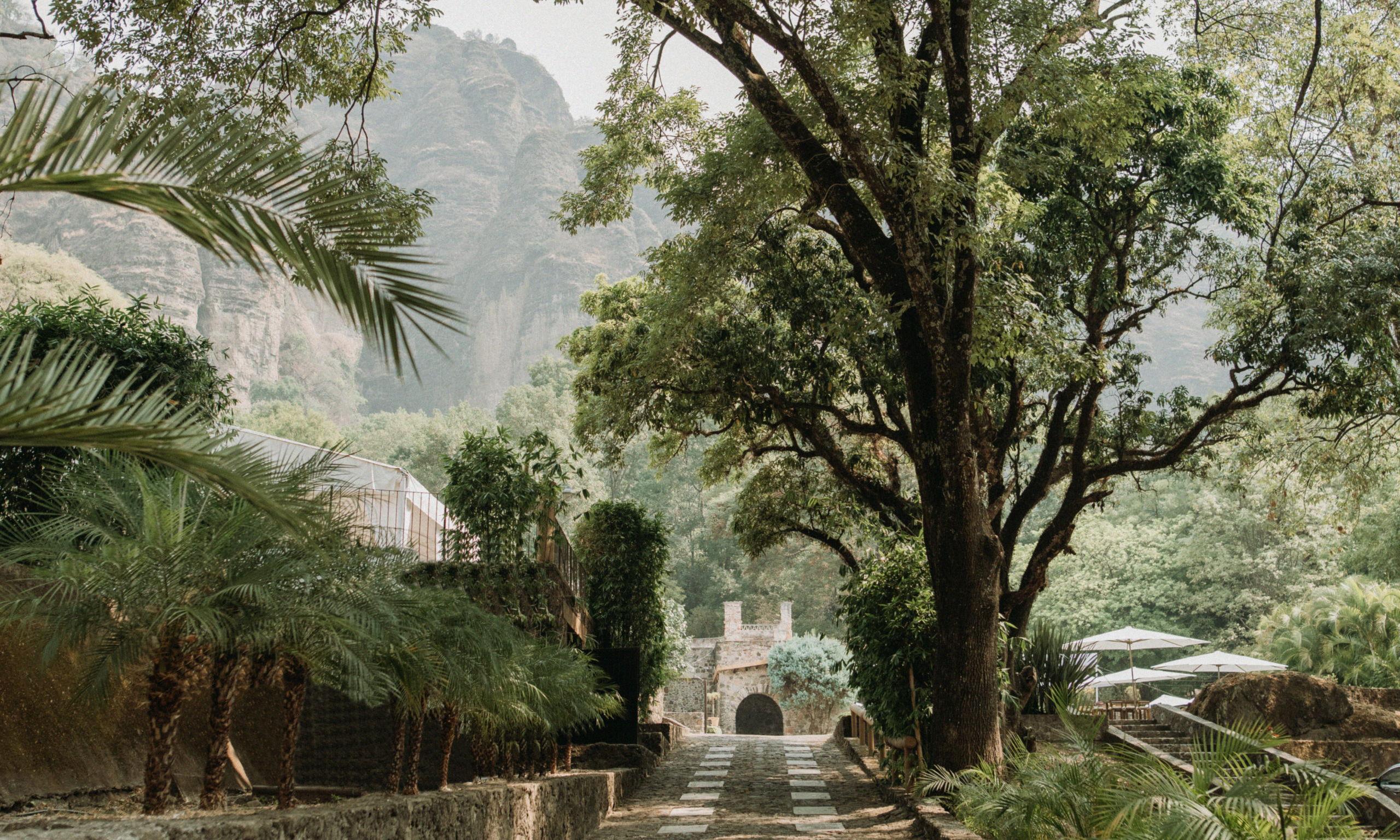 The Wedding Website of Yaneli Franco and Brenden Williams